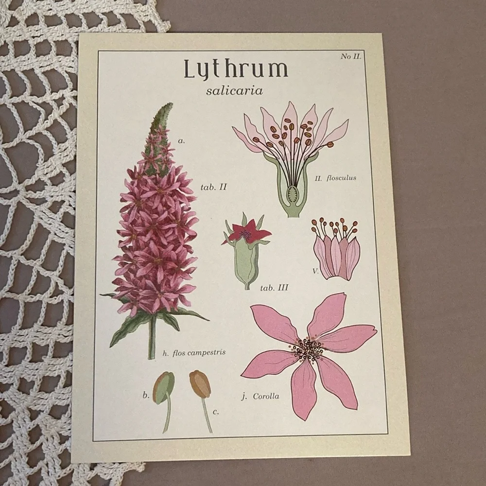 New IKEA Vintage Flowers Botanical Prints Set By Maria Mendez